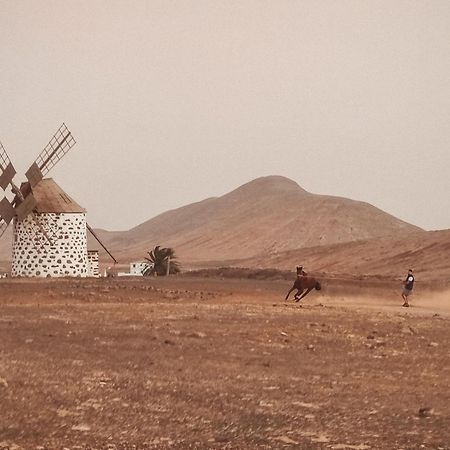 Casa Cocolores Villaverde  Kültér fotó